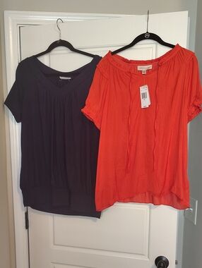 2 Beautiful Short Sleeve Tops